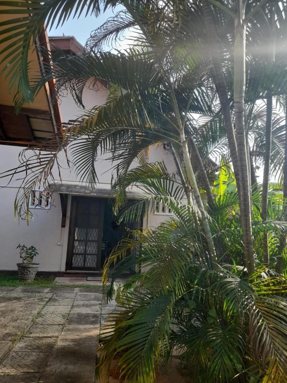 Fuchs Villas เนกอมโบ ภายนอก รูปภาพ
