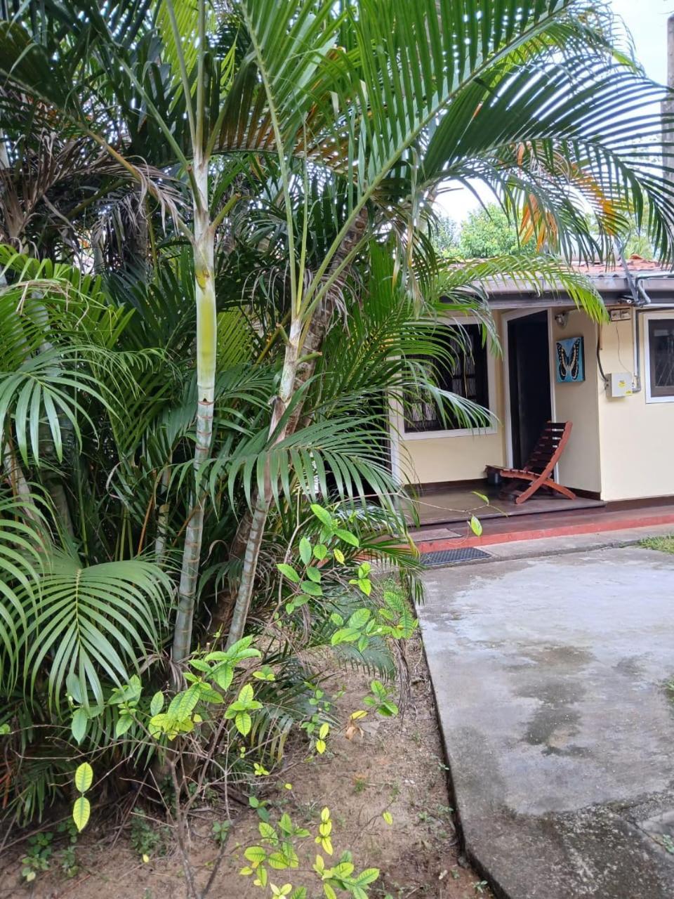 Fuchs Villas เนกอมโบ ภายนอก รูปภาพ